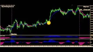 Часть5-Стратегия Fisher