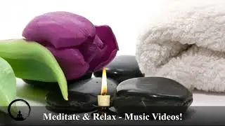 Meditation & relaxation   1 hour calm music ambient