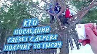 The last person to get out of the tree will receive 50,000 rubles.