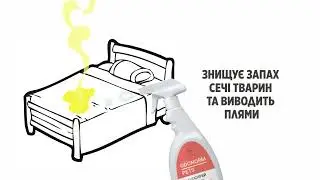 Убрать запах мочи кота или собаки с дивана и ковра