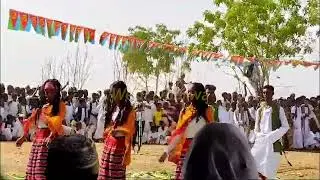 2024 Eritrean Independence Day Celebration in Gash Barka