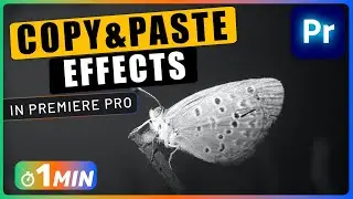 How to Copy EFFECTS to Another Video in Premiere Pro