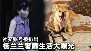 10/6【美国热搜】习近平模式背后的不堪｜杨兰兰社交帐号与顶奢生活曝光｜红色贵族豪聘黑帮律师脱罪？｜杨兰兰车祸受害者近况｜《人民日报》七评论是高级黑？