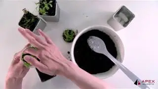 DIY: Magnetic Herb Garden