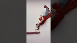 Ты почистил зубы? 