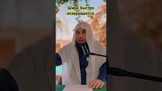 Ширк быстро возвращается