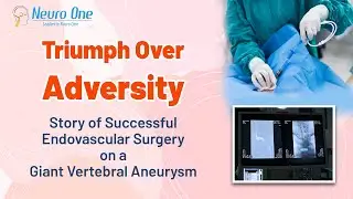 Triumph Over Adversity: Successful Endovascular Surgery on a Giant Vertebral Aneurysm at 75