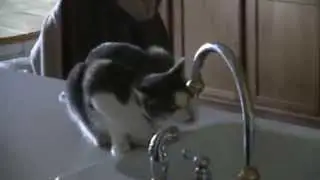Mr. Vittles Gets a Drink