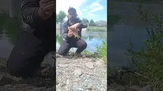 ЖОР КАРАСЯ, весенняя РЫБАЛКА, в КРАСИВОМ МЕСТЕ