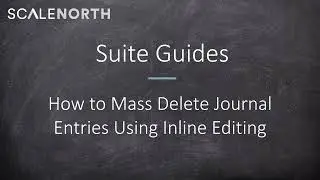 NetSuite Tutorial: Mass Deleting Journal Entries through Inline Editing (2023)