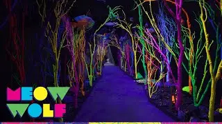The Meow Wolf Experience | Meow Wolf
