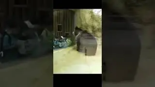 обезглавил твою маму она ща мне хуй сосет