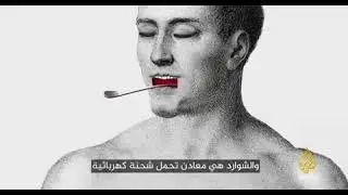 الملح   تناقضات الذهب الابيض
