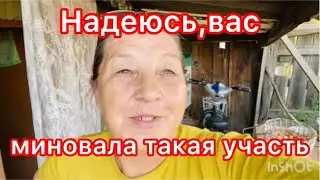 Неудачи этого сезона:что не выросло,засохло или просто не удалось.