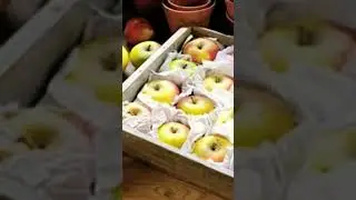 HOW TO STORE 