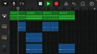 Untitled video