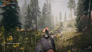 Far Cry 5 rx560 4gb amd x4 760k gameplay