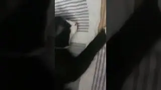 Макарона с майонезом