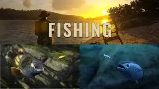 SCUM v 0.5 - Рыбалка 2.0 + таблица