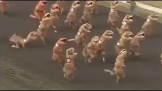 best of r/funny