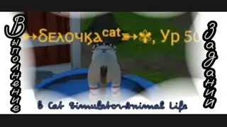 Выполнение заданий в Cat Simulator-Animal Life