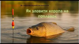 ЯК зловити коропа на поплавок 