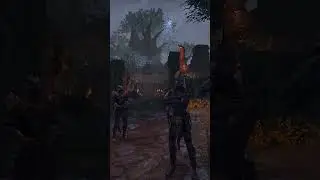 This is what Argonians really think