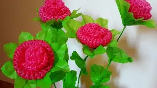 BUNGA DARI BUNGKUS APEL, CANTIK LUAR BIASA