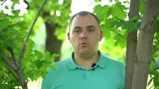 Приглешние в Greenleaf.
