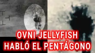 🛸 OVNI JELLYFISH - EL PENTÁGONO SE PRONUNCIA