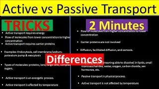 Active vs Passive Transport | Difference between Active and Passive Transport |