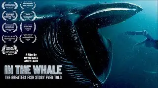 IN THE WHALE film teaser