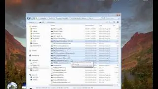 Skyrim - Merge Mods TES5Edit Script