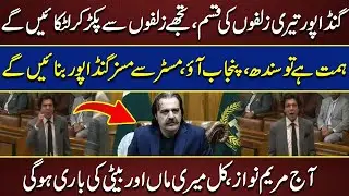 Ali Amin Gandapur Statement In Jalsa  | Faisal Vawda Bashes In Senate Speech  |  Full Fiery Session