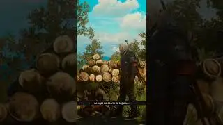 Не всегда жизнь напоминает сказку | Ведьмак 3 | The Witcher 3 #shorts