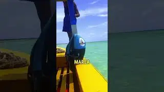 Esiste un’altra Sardegna lo sapevi?   #kenya #mare #viaggiodigruppo