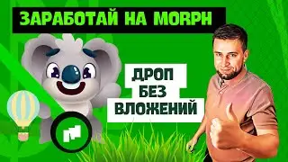 100% ДРОП от ТЕСТНЕТ MORPH | ПОЛНЫЙ ГАЙД БЕЗ ВЛОЖЕНИЙ