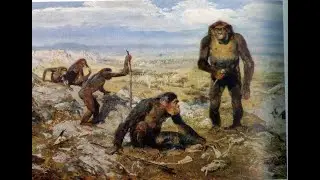 Австралопитекские Кубики (1.1)
