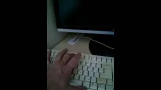 Как войти в безопасный режим на Windows XP, 7, 98, 95, 2000, ME, 8, 8.1, 10