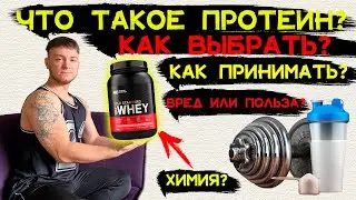 ВСЁ О ПРОТЕИНЕ И БЕЛКЕ .КАК ПРИНИМАТЬ  И КАКОЙ ВЫБРАТЬ?