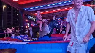 Benidorm Bull _2