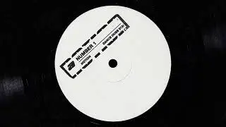 NOTION - NUMBER 1  (DANCE DUBS 012)