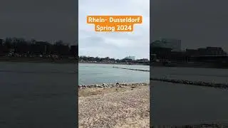 Набережная Дюссельдорфа Весна 2024 / Rhein -Dusseldorf spring 2024