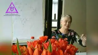 Рекомендации тарологам от Аллы Алиции Хшановской