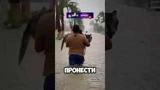 Заботится о своей собаке ❤️