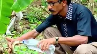 देखिए इस झगड़ते हुए जग में प्यार की छोटी सी कहानी।