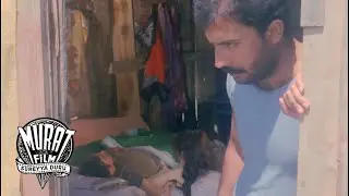 Kaptanın Ölümü | Derya Gülü