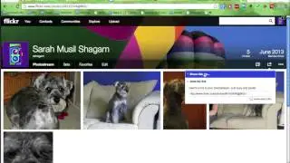 Google Sites - Add Photos to Photos Page