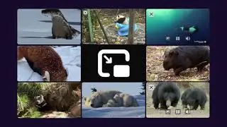 Firefox Multi Picture-in-Picture