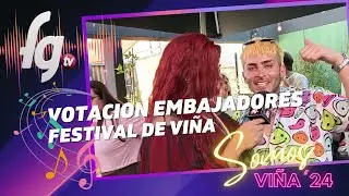 SOMOS VIÑA / VOTACION EMBAJADORES VIÑA - CANAL FARANDULA GAY